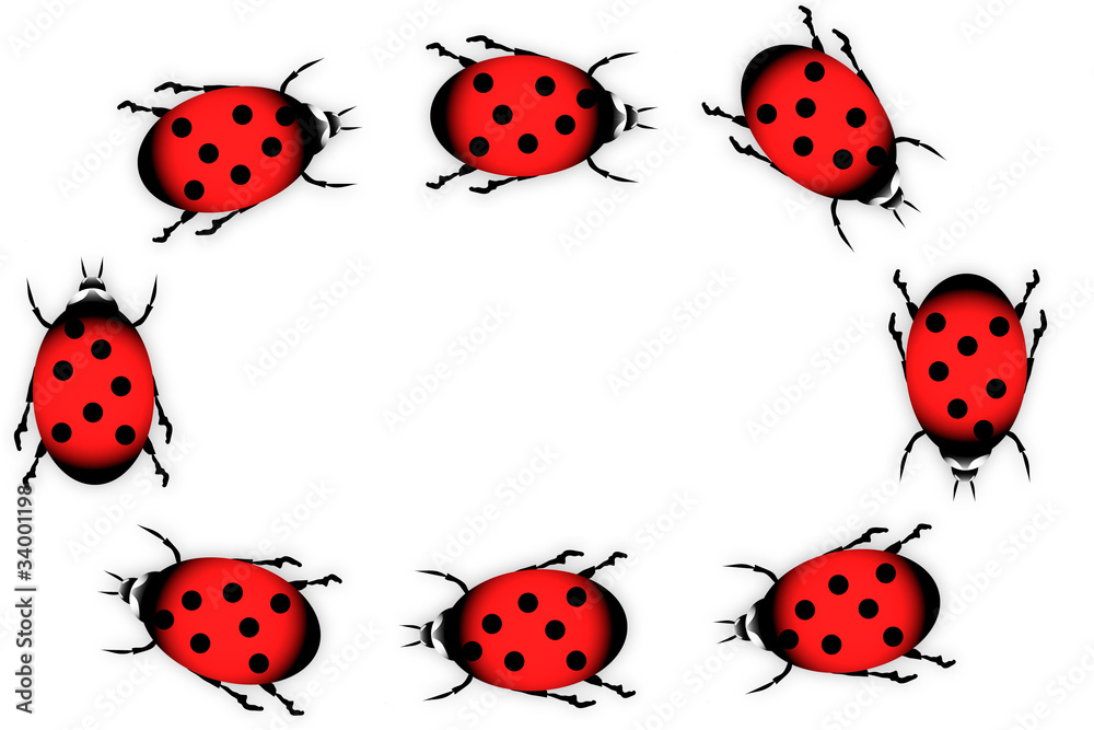 Ladybugs on white background Ladybugs on white background