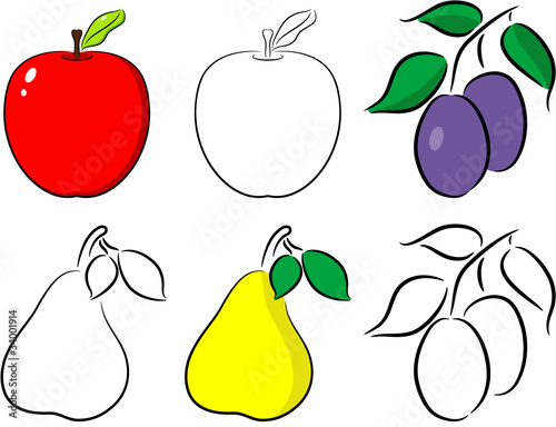 Fruit set