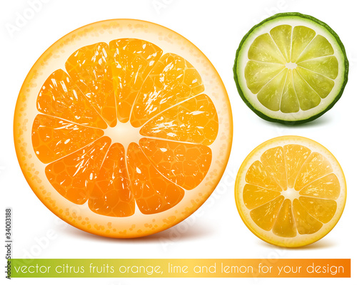 Vector citrus fruits: orange, lime and lemon.