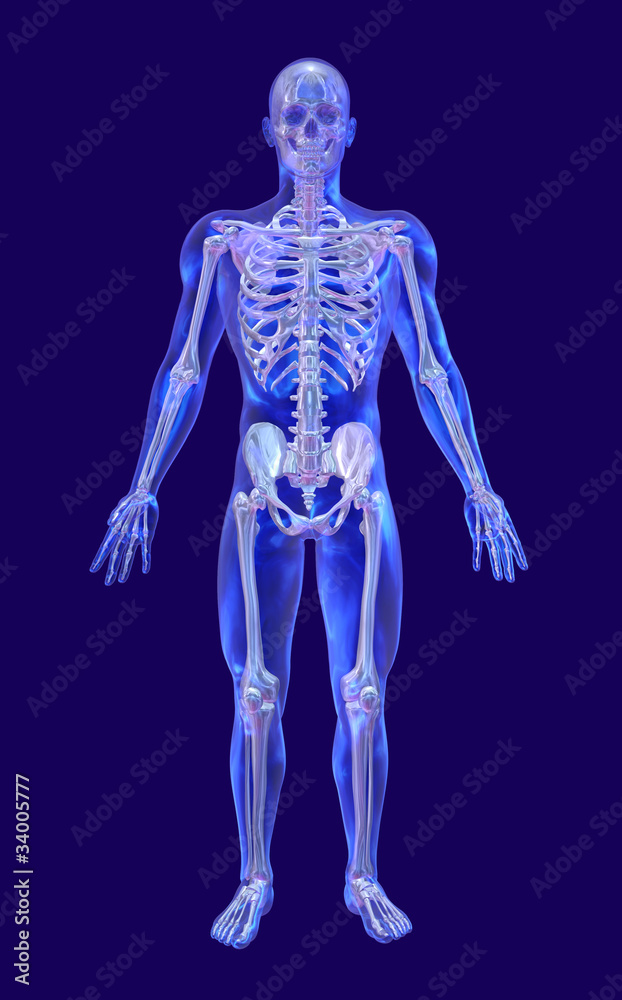 Fotografie Blue Glass Man with Iridescent Skeleton