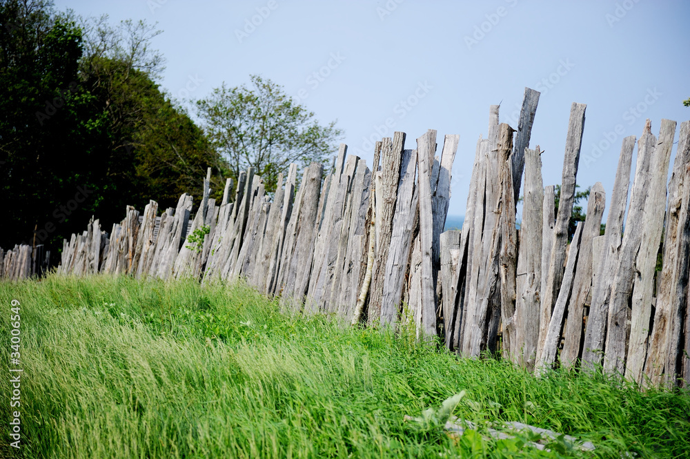 Obraz premium Old wood fence on green meadow