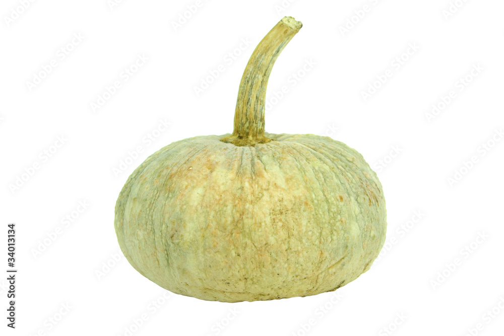 Pumpkin isolated on white background