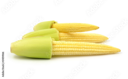 baby corn isolated