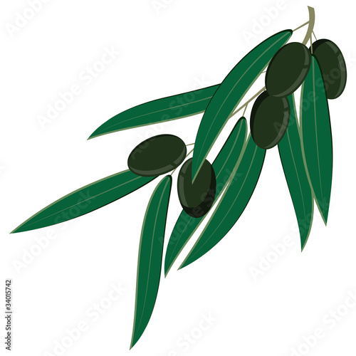 Black olives