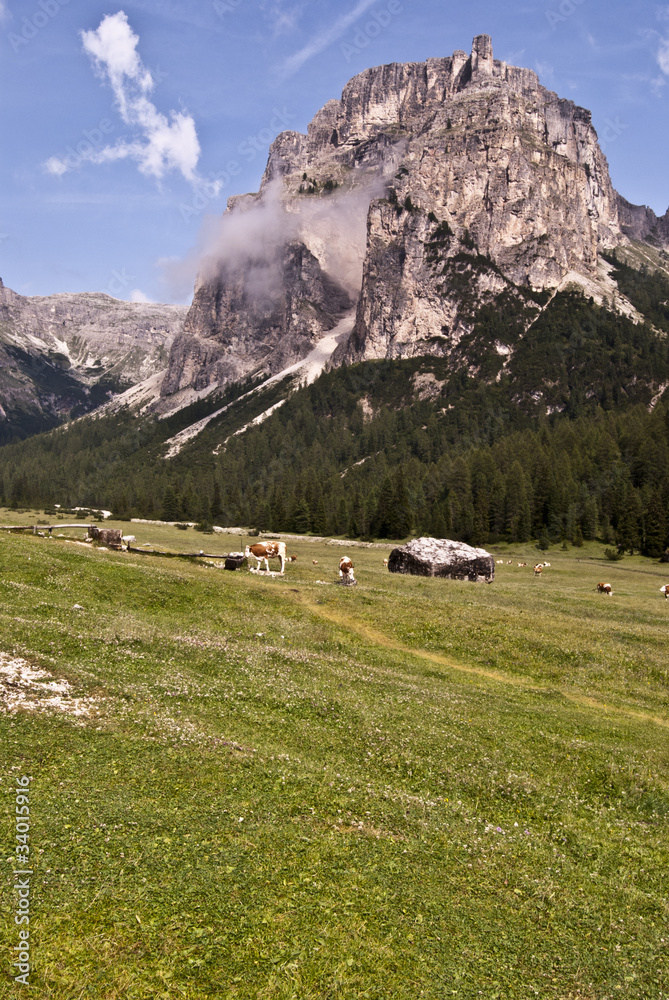 Dolomites rock castle with meadows and feeded cows