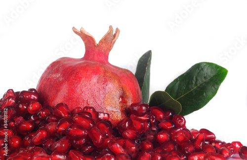 grains  pomegranate photo