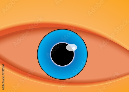 vector illustration of the eye