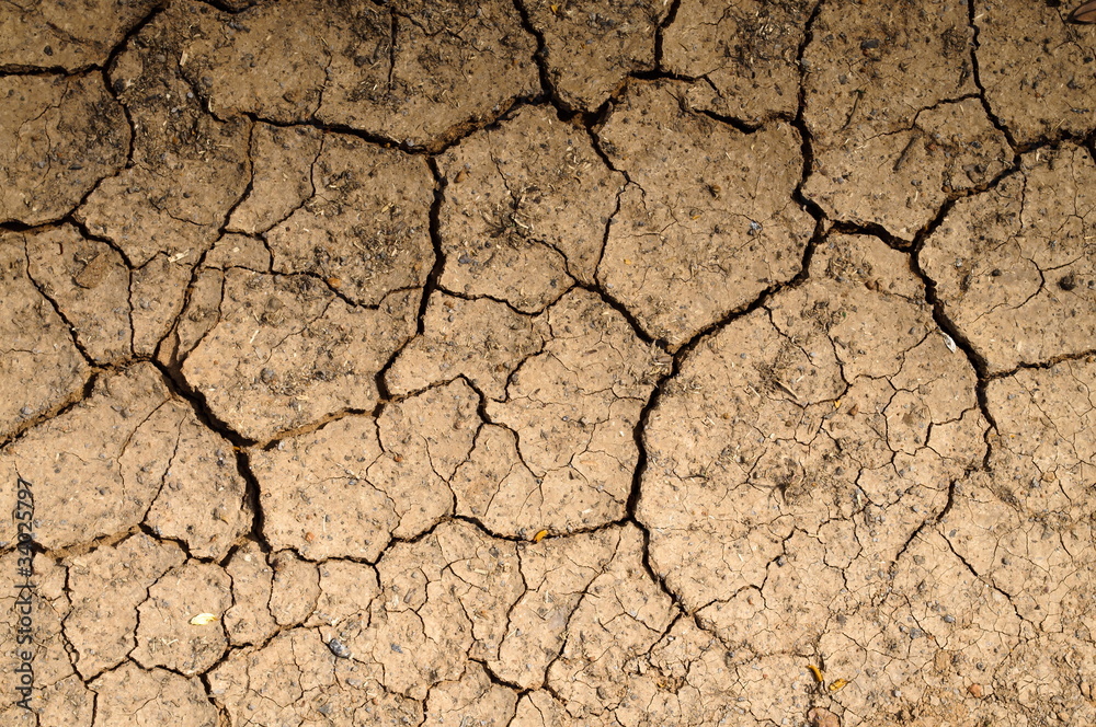 Dry soil on the ground Dry soil on the ground