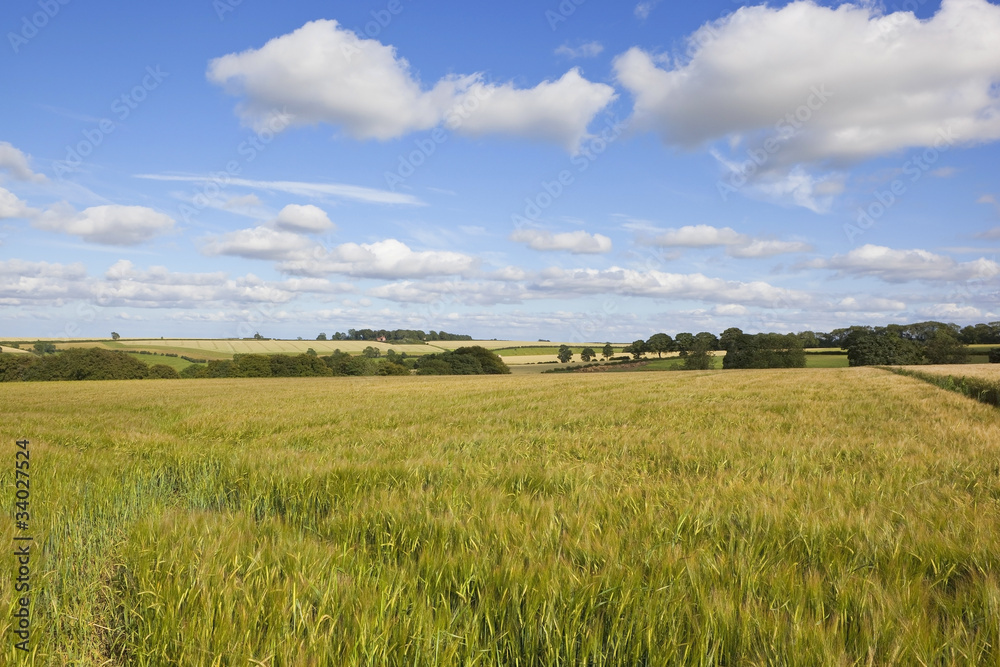 english countryside