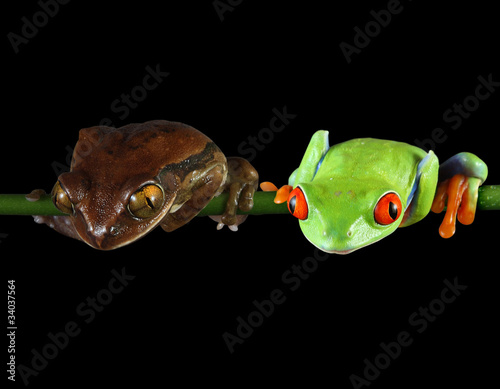 Opposites attract (clipping path)