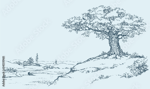 The mighty oak tree grows on top of a hill