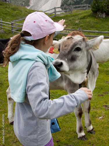 bambina che accarezza un vitello al pascolo photo