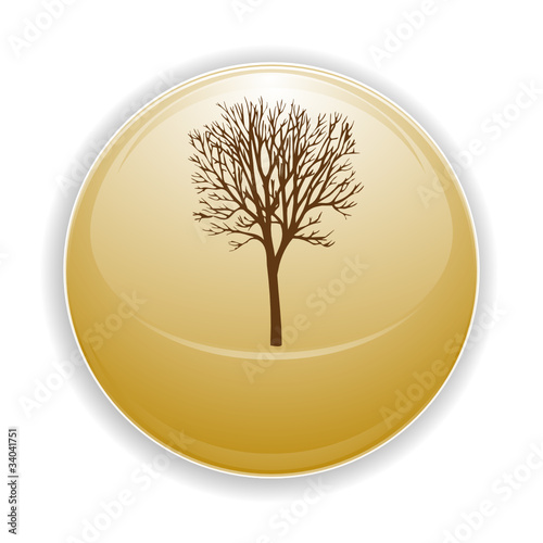 Boule, bouton, sphère, reflet, transparent, picto, logo, icône