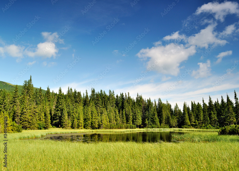 Mysterious Marichaika lake in the forest