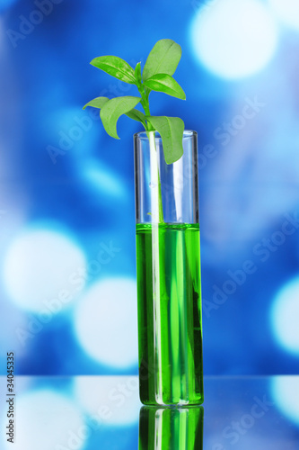 test tube with plants on blue background