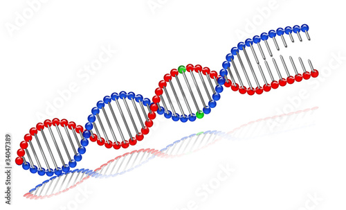 DNA_color1