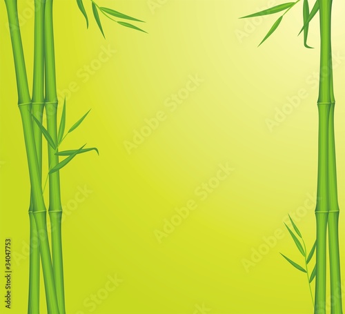 Fototapeta Naklejka Na Ścianę i Meble -  Green bamboo. Background for card