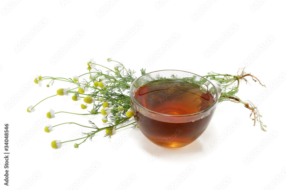 tea with a medical camomile tea with a medical camomile