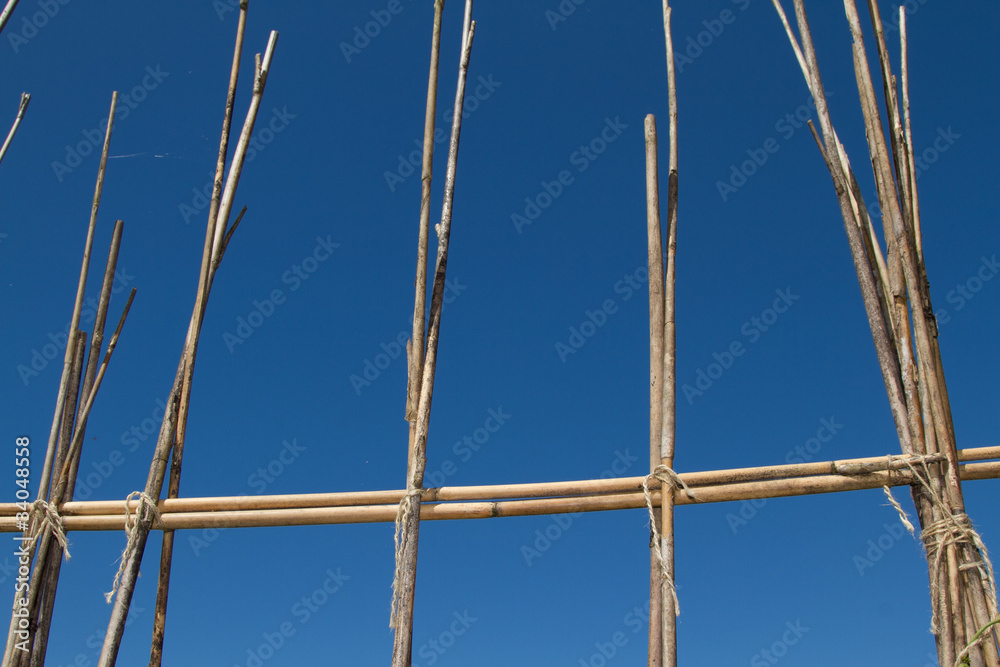Bamboo canes. Bamboo canes.
