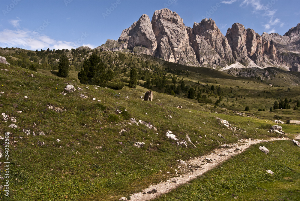 foot-path with meadows and peaks