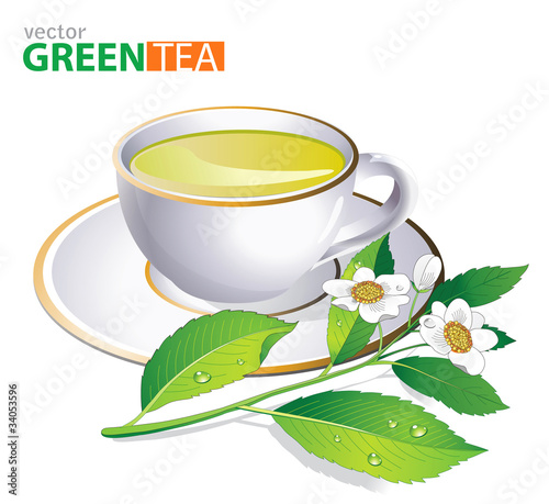 Green tea white cup and fresh tea leaves over white.