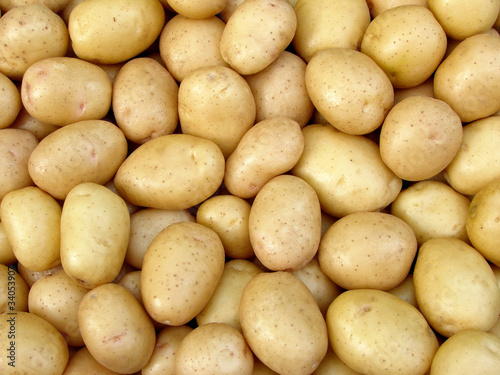 harvested potato tubers
