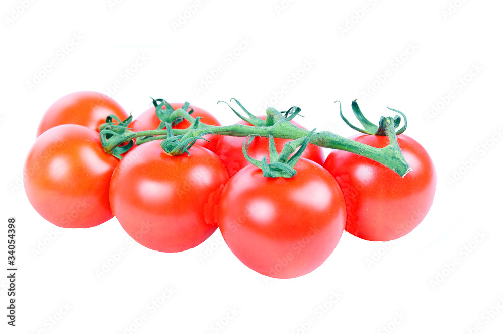 Tomate Tomate