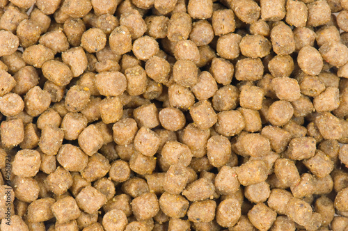 Pet food background