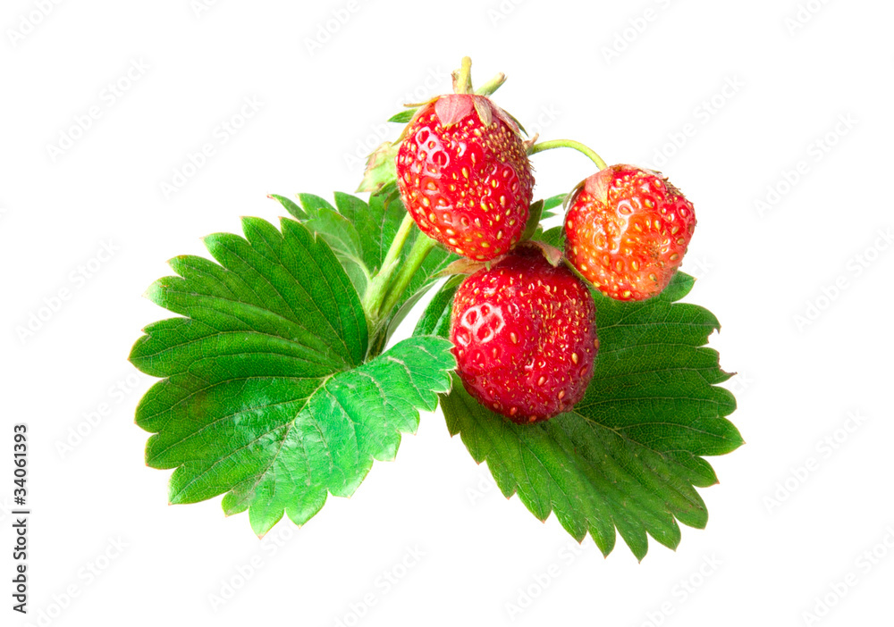 three strawberries three strawberries