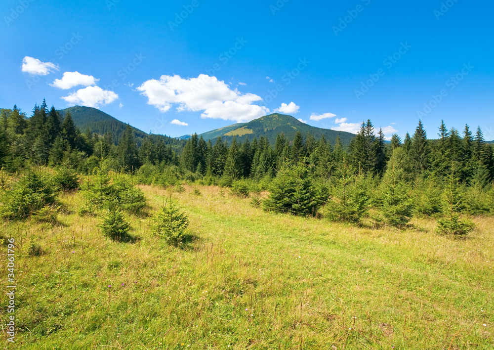 Summer mountain view Summer mountain view