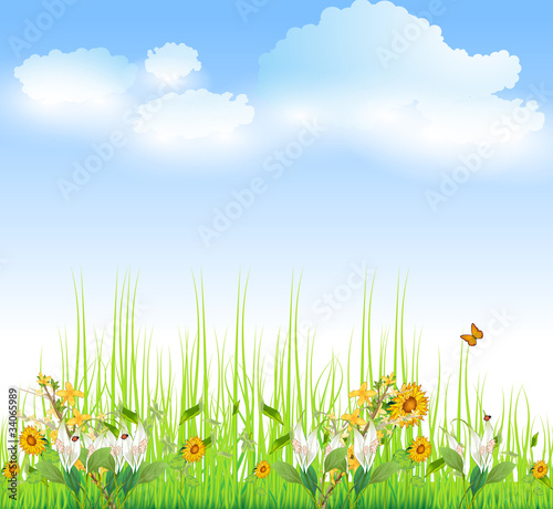 Green Grass with flowers And Blue Sky  Vector Illustration