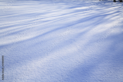 Tableau sur toile 雪原の影