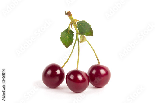 Sweet cherry