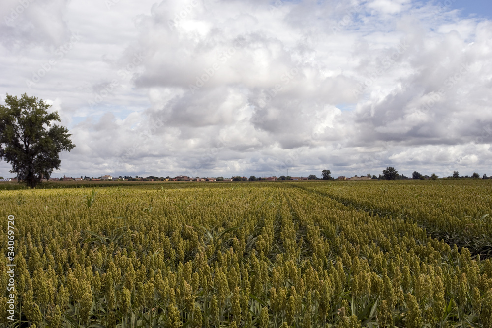 Obraz premium ilmax72_A1160