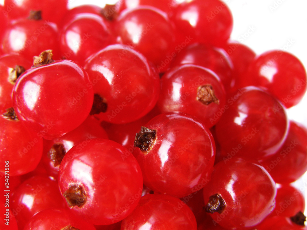 red currant - sweet and sour red berries red currant - sweet and sour red berries