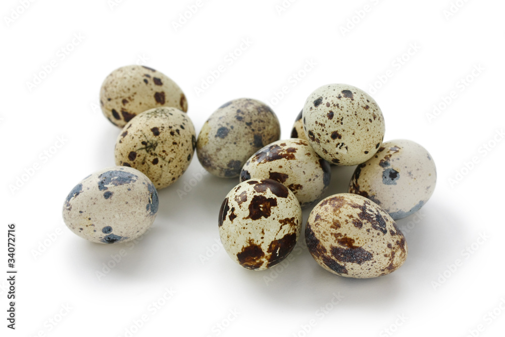 fresh quail eggs on white background