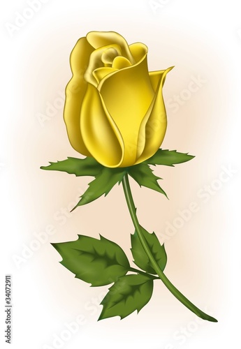 Yellow rosebud