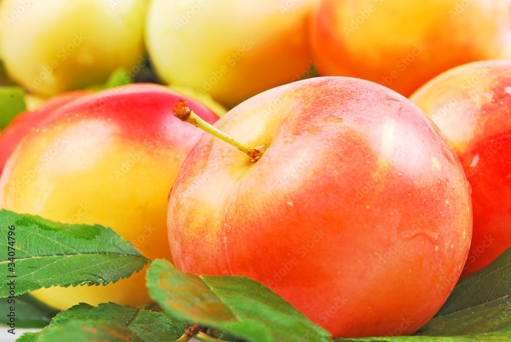 Plums, close-up