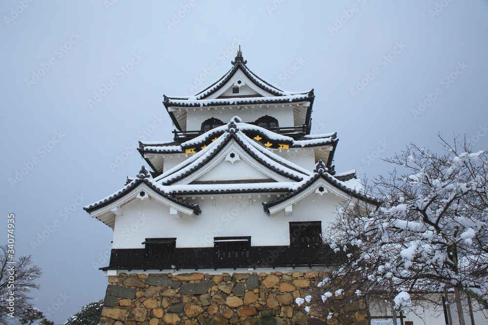 雪の彦根城