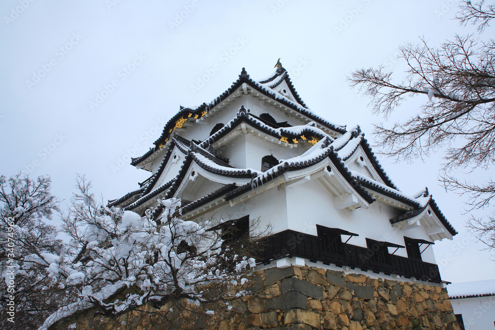 雪の彦根城