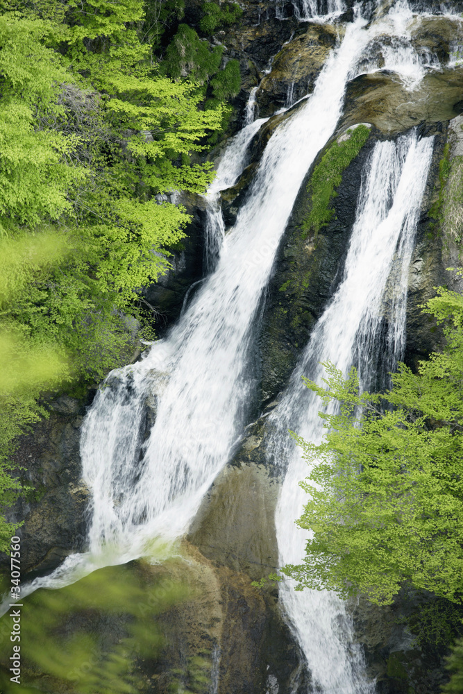 新緑の霧降ノ滝 新緑の霧降ノ滝