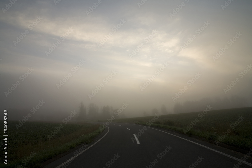 霧の中の道路