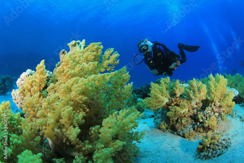 Coral Reef and Scuba Diver