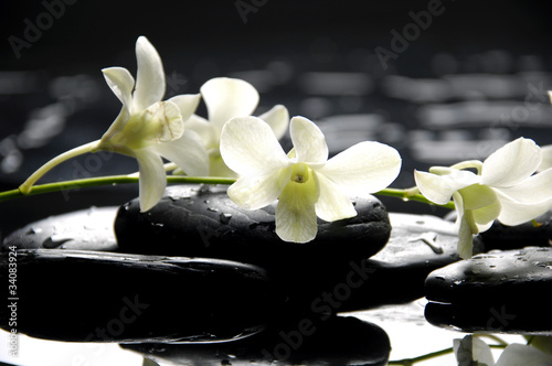 Zen stones and branch orchids with reflection