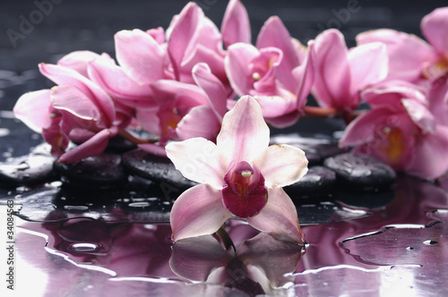 Bright pink orchid and black stones with reflection