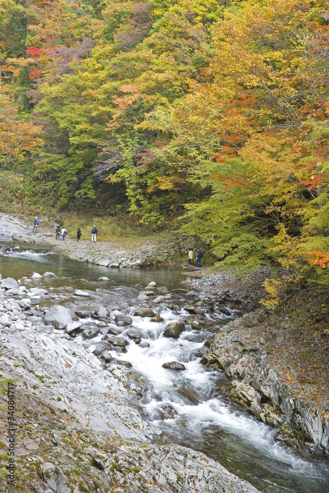 秋の中津川渓谷