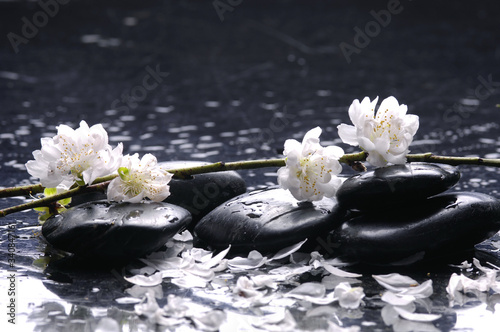 therapy stones with white cherry blossom on pebble