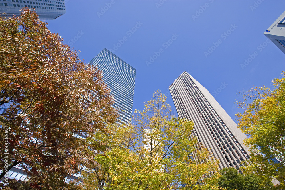 秋の新宿高層ビル群