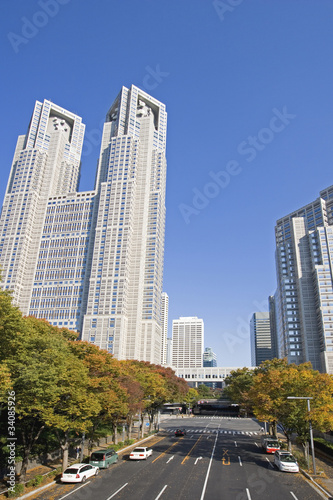 秋の東京都庁舎