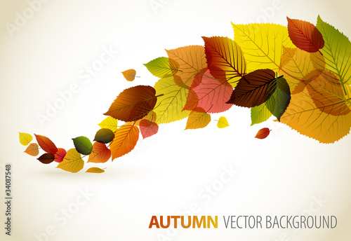 Fall abstract floral background